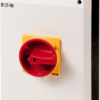 P3-100/I5/Svb 3P 100A Enclosed Rotating Switch Disconnector Ip65 Surface Mount