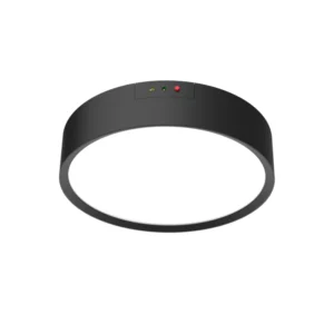 Emergency LED Bulkhead 18W Black 300K-5700K 2268LM IP65