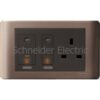 E84T15D45N_SZ – 45A Double Pole Switch and 13A Switched Socket Outlet, Silver Bronze Schneider Electric