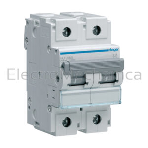 125A 2P 10KA C-CURVE MCB HLF299S