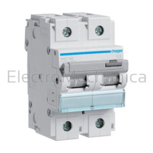 100A 2P 15KA C-CURVE MCB HMC290