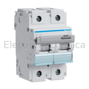 80A 2P 15KA C-CURVE MCB HMC280