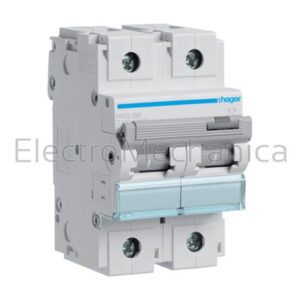 100A 2P 15KA D-CURVE MCB HMD290