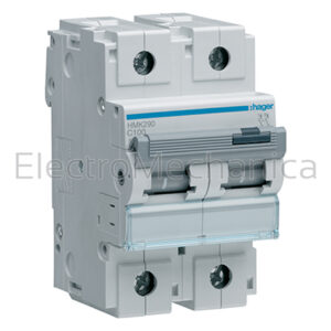 100A 2P 30KA C-CURVE MCB HMK290